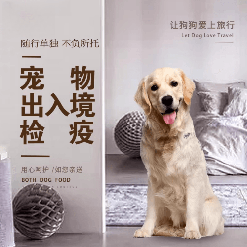 双鸭山市宠物托运到哥伦比亚猫狗宠物入境规定和