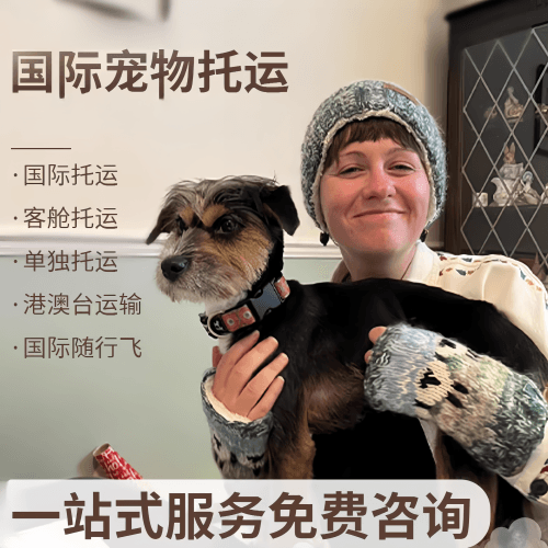 双鸭山市国际宠物托运到阿根廷宠物入境规定和要