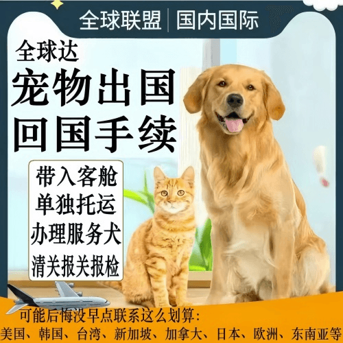 双鸭山市宠物托运到柬埔寨宠物入境规定和要求