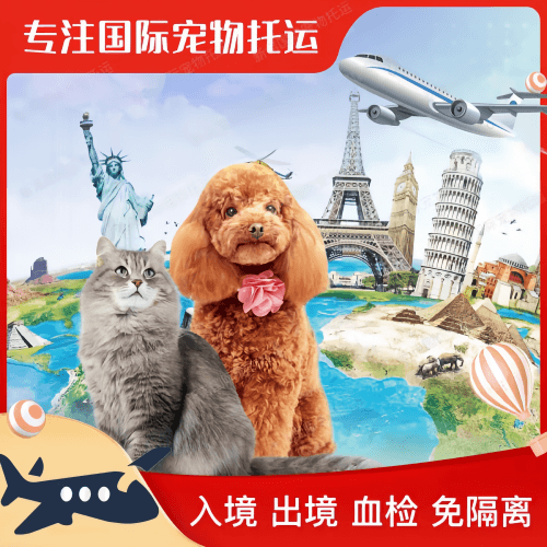 双鸭山市宠物托运到美国宠物入境最新规定和要求