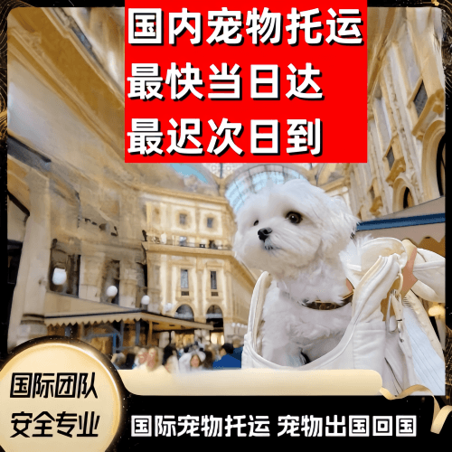 双鸭山市到澳大利亚（澳洲）宠物入境规定和要求